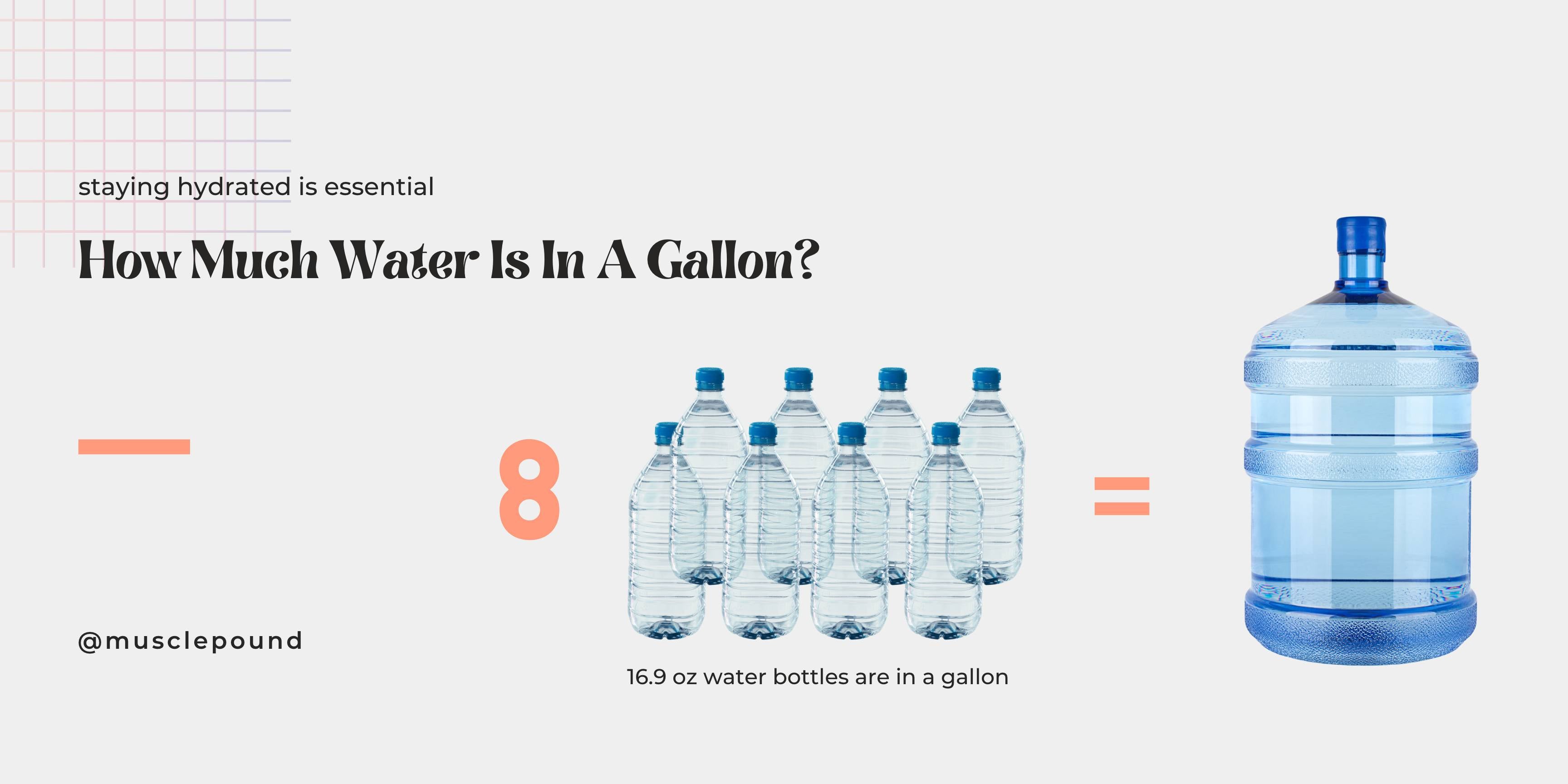 How Much Water Is In A Gallon? - MUSCLE POUND®