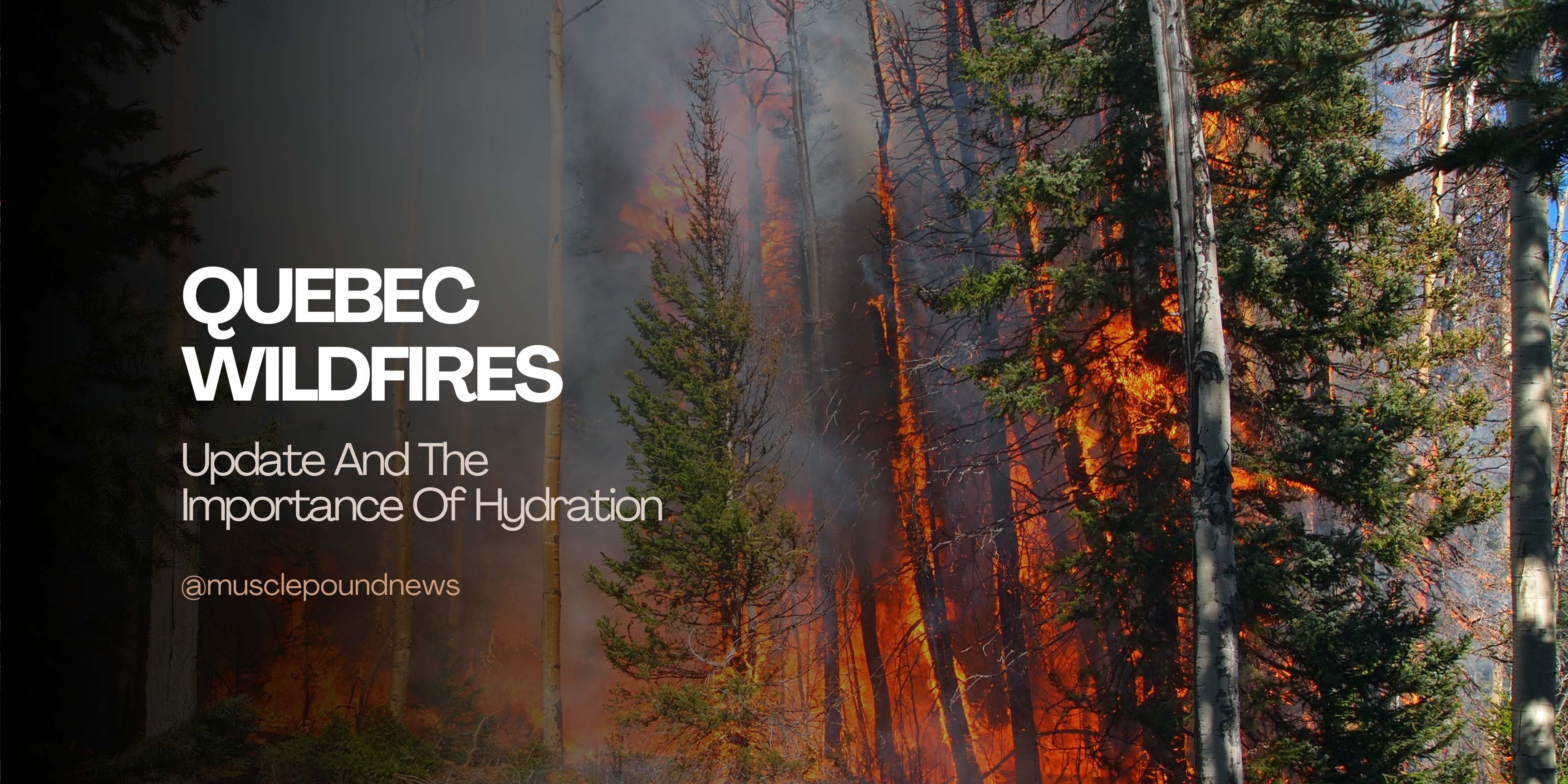 Quebec Wildfires Update and the Importance of Hydration - MUSCLE POUND®