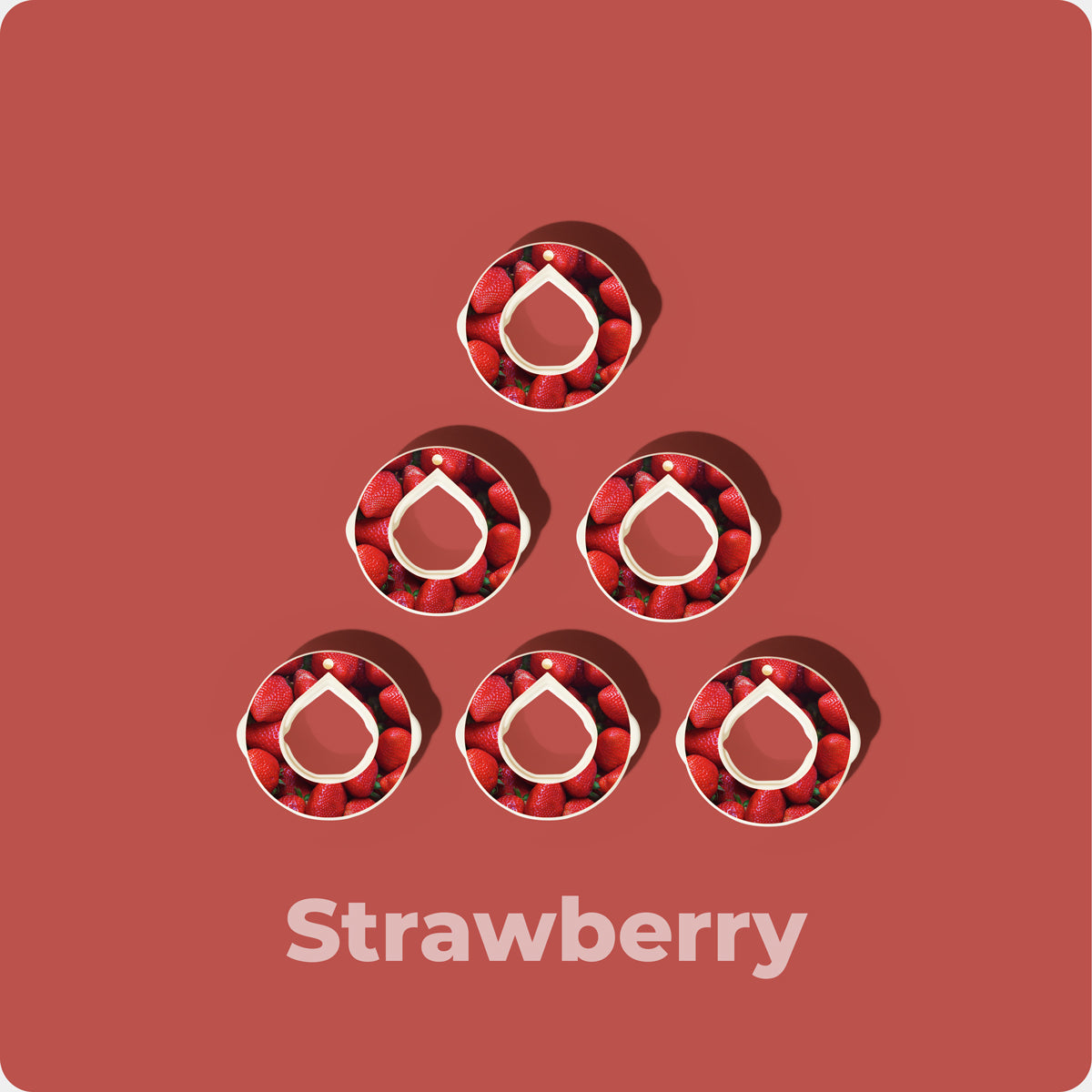 Gousses de fraises - (6-PODs)