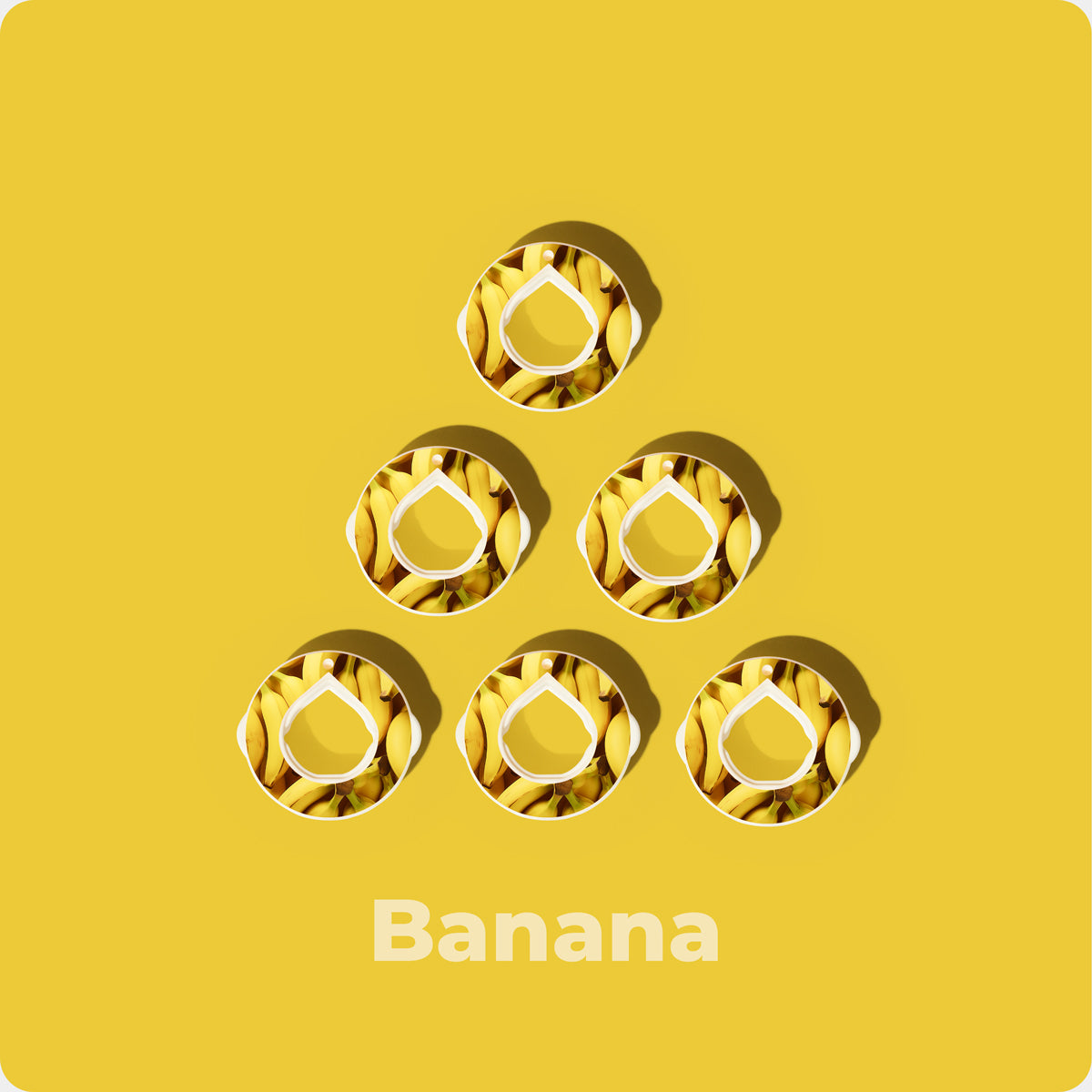 Gousses de banane - (6-POD)